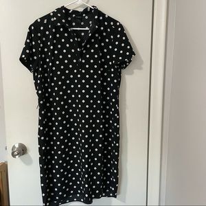 Ann Taylor Polka Dot Shirt Dress